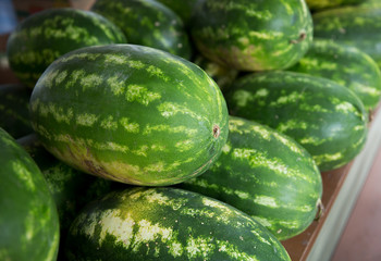 close up of watermelon at street farmers market