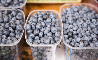 close up of blueberries in boxes at street market