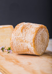 Charolais chevre french goat cheese. studio shot