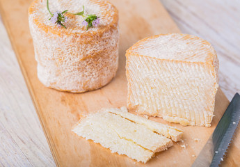 Charolais chevre french goat cheese. studio shot