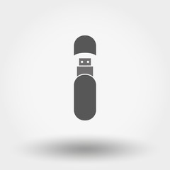 Usb Stick icon.