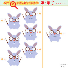 identical two pictures