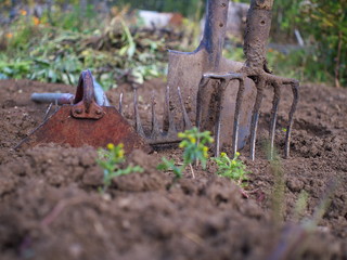 used gardening tools, shallow depth of field