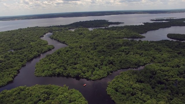 Aerial Shot of Amazon rainforest in South America