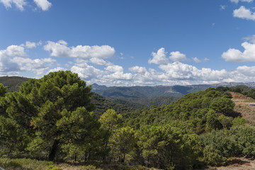 Fototapeta na wymiar Hermosas vistas de la naturaleza en el valle del Genal, Málaga
