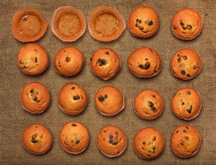 Muffins in a row.