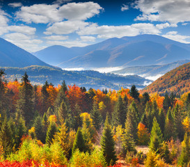Fototapety  Colorful autumn landscape in the mountains