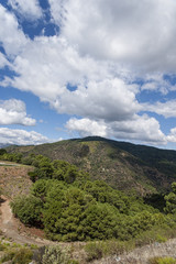 Hermosas vistas de la naturaleza en el valle del Genal, Málaga