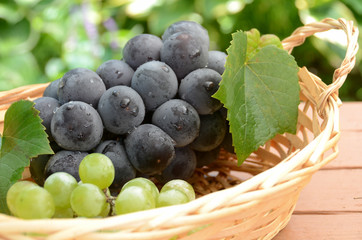 grapes in a basket