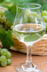 white wine with grapes