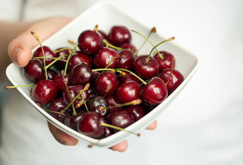 Hands holding a white bowl with ripe cherries. Shallow dof