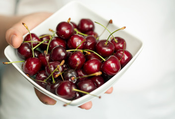 Hands holding a white bowl with ripe cherries. Shallow dof
