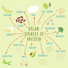 Vegan plant-based sources of protein - 91353323