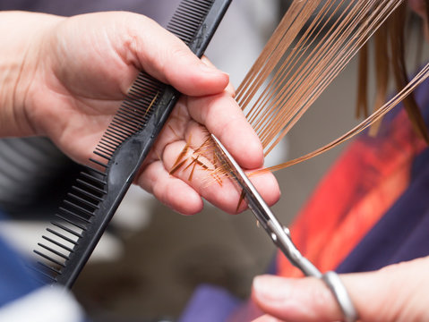 Female Hair Cutting Scissors In A Beauty Salon