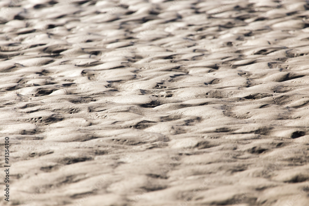 Wall mural background of sand on the shore