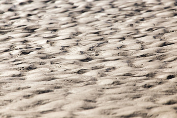 background of sand on the shore