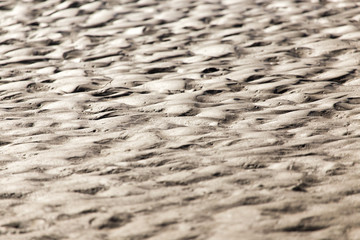 background of sand on the shore