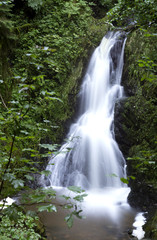 black forest germany