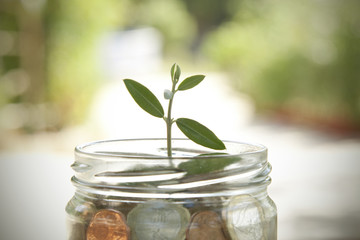pot with coins saving concept