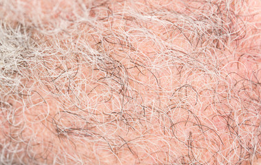 hair of the beard. close-up