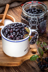 Black chokeberry.