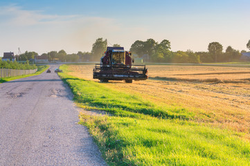 Naklejka premium Tractor reaping wheat
