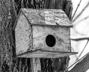 house for birds on a tree