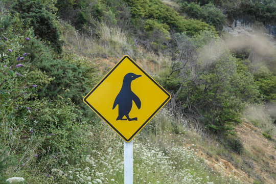 Penguin Crossing Road Sign in New Zealand