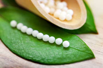 Homeopathic pills on leaf. - obrazy, fototapety, plakaty