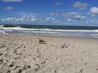 Plaża © marcingregor