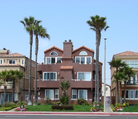 Fototapeta premium Brown house and palm trees