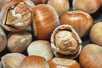 Fresh brown hazelnut as background in closeup
