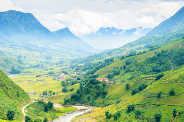 Rice fields on terraced in rainy season at SAPA, Lao Cai, Vietna