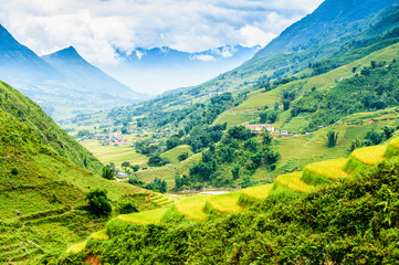 Obraz premium Rice fields on terraced in rainny season at SAPA, Lao Cai, Vietn