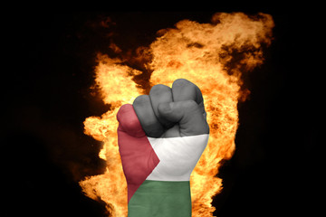 fire fist with the national flag of palestine