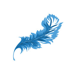 decorative Feather