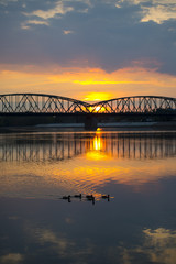Fototapeta premium Toruński most drogowy o zachodzie słońca z płynącymi kaczkami po wiśle