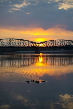 Toruński most drogowy o zachodzie słońca z płynącymi kaczkami po wiśle