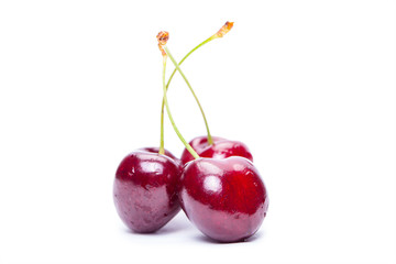 Cherry 