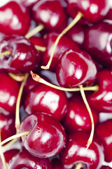 Cherry 