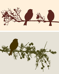 birds silhouettes  on the branches