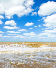 Beach after the storm