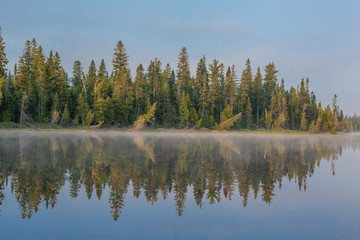 reflection of the forest in the water in the summer