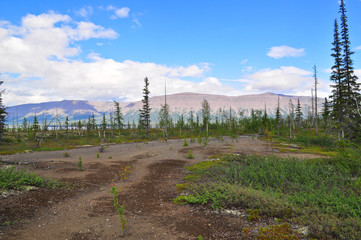 Obraz premium Tundra in the foothills of Putorana plateau.
