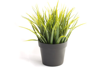 Planta artificial estilo césped con maceta negra sobre fondo blanco