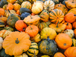 Colorful ornamental gourds as background