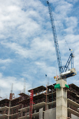 Fototapeta premium Cranes on construction site.