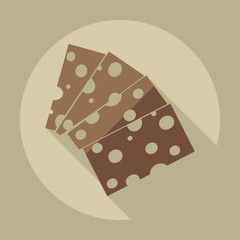 Flat modern design with shadow icons cheese