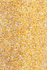 corn grains