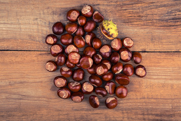 chestnut on old wooden background. Vintage toning